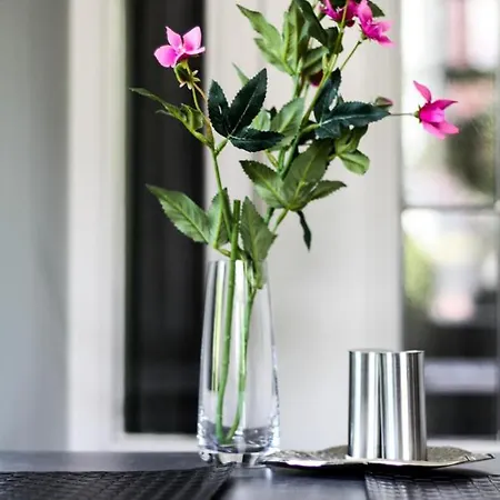 Bed and Breakfast A Bascule Maastricht 4*