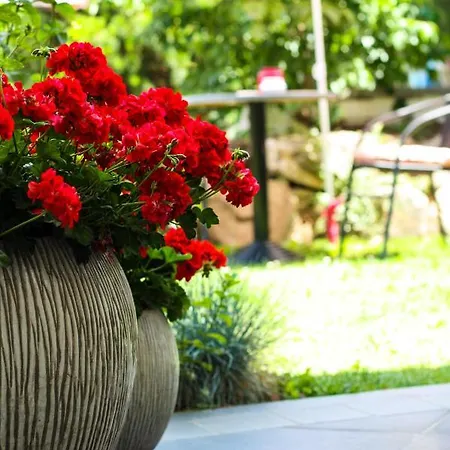A Bascule Maastricht Bed & Breakfast 4*